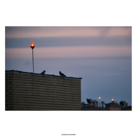 Любить — это не значит смотреть друг на друга...