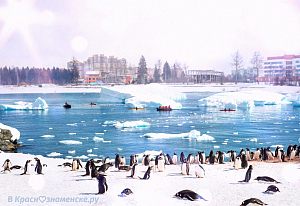 Редкое фото зимы в Краснознаменске (до аномального