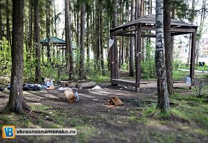 Зона барбекю