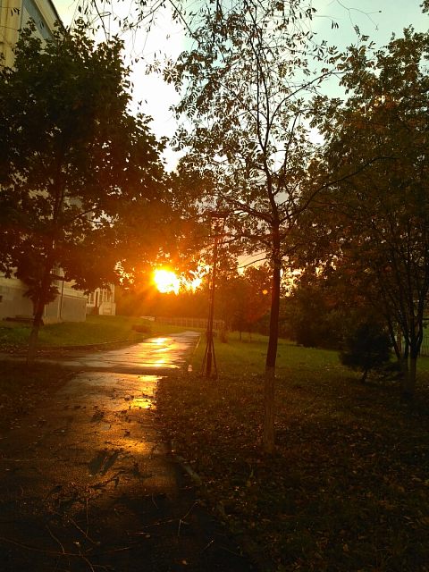 Осенний Краснознаменск