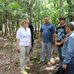 На территории КГБ-го парка выявлен несанкционированный слив сточных вод