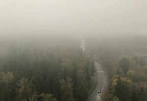 Атмосферное туманное утро