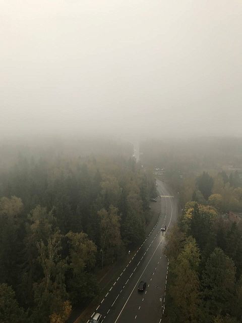 Атмосферное туманное утро
