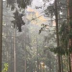 Осенняя сказка в Беличьем парке — Краснознаменск