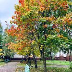 Осенний Краснознаменск 2021-2026 гг