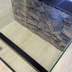 Террариум для рептилий — Краснознаменск