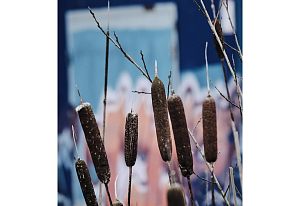 КакамышДень | Осень 25Индустриальная улица