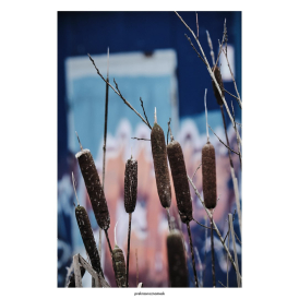 КакамышДень | Осень 25Индустриальная улица