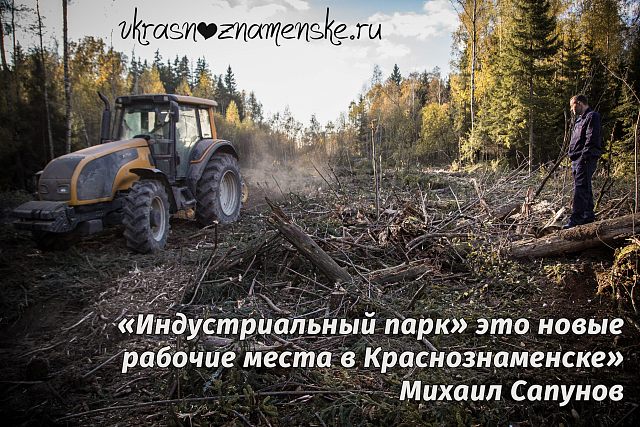 Михаил Васильевич Сапунов осматривает вырубку леса