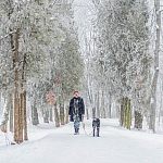 Небольшая прогулка по зимнему Краснознаменску