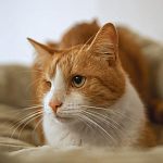 Тёма ждёт именно Вас