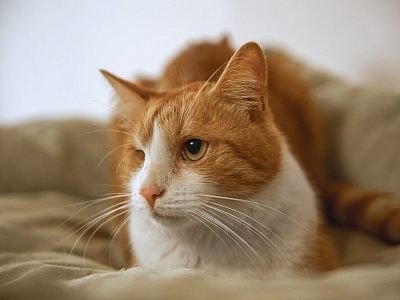Тёма ждёт именно Вас