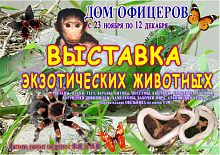 Выставка экзотических животных