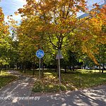 Прогулка по осенним улицам города — Краснознаменск