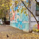 Осенний Краснознаменск 2021-2026 гг