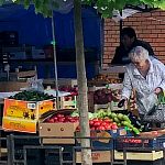 Ранние арбузы: да или нет? 