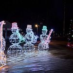 Творчество посетителей парков