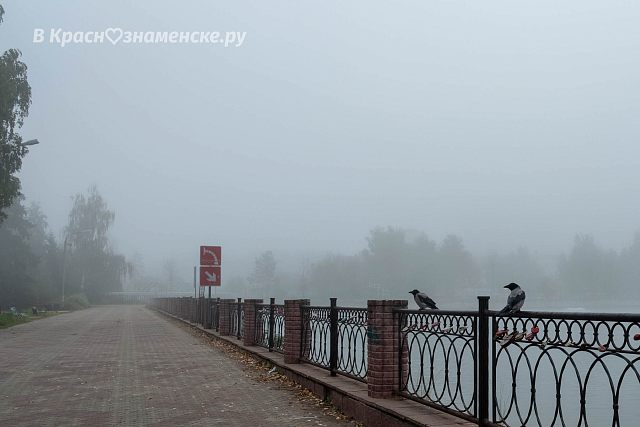 Туман в Краснознаменске