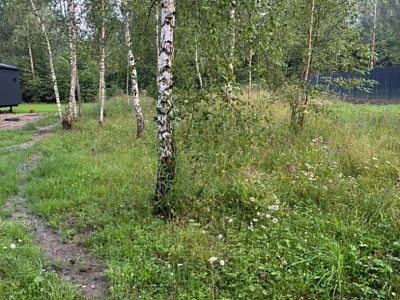 Продам, 8 соток, ИЖС