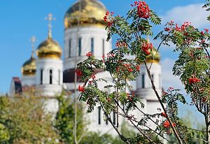 Прощальные мгновения лета 2026