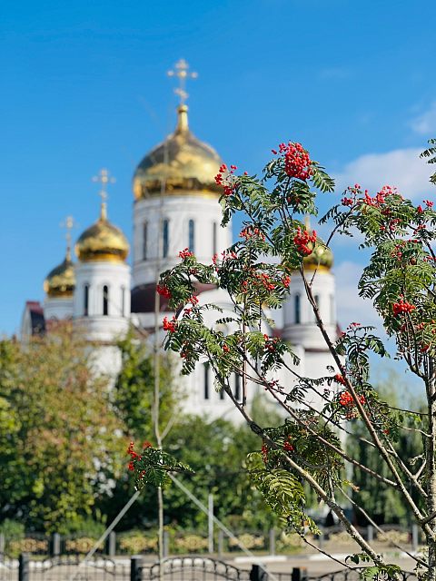 Прощальные мгновения лета 2026