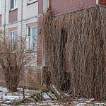 Ещё чуть-чуть и эти балконы снова красиво зацветут)