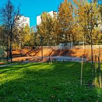 Амфитеатр в парке Беличий