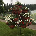 Оформление озера и прилегающей территории вызывает вопросы о профессиональной компетенции ландшафтного дизайнера