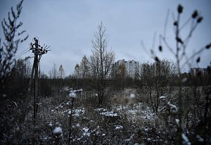 Сидоровское