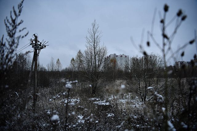 Сидоровское