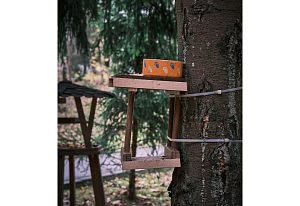 Конкурент трактира;У воробья;День | О