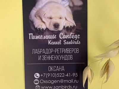 Карты / Визитки/ Магниты / Ключи