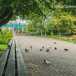 Костры и непотребства в парке, напомнили легендарную «Пэшку».