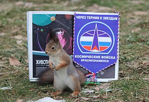 Белочки поздравляют с Днём Космонавтики