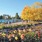 Небольшая прогулка вокруг старого уютного озера