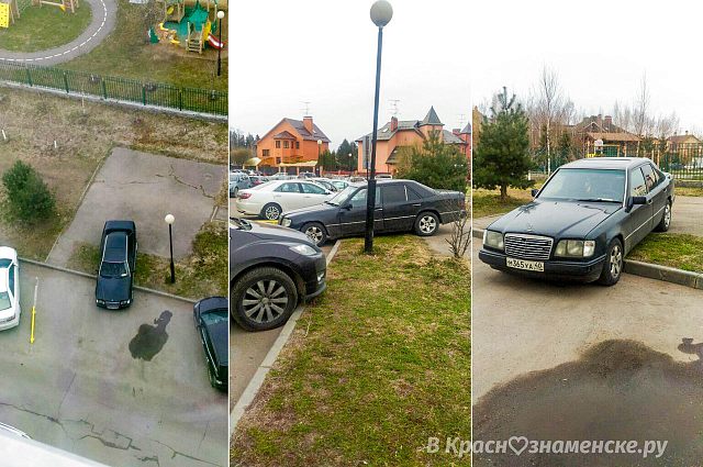 А нам всё равно, не боимся мы волка и сову