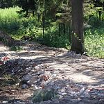 Дорога к коттеджам на Кобяковской улице оказалась несанкционированной