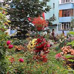 В ближайшее время город оживет яркими красками цветов, украшающих городские клумбы