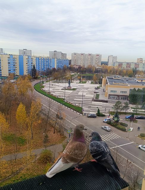 Двое на фоне города