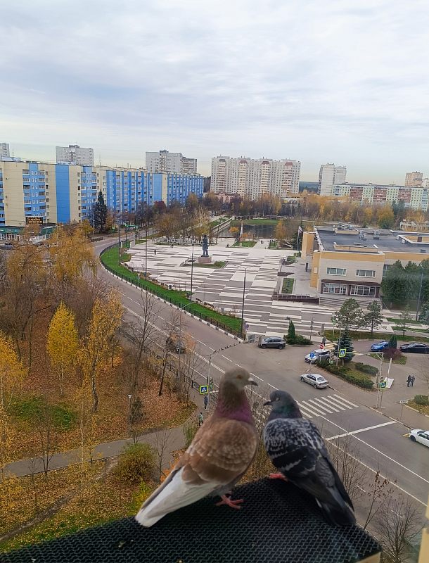 Двое на фоне города