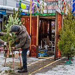 У Городского рынка открылся ёлочный базар!