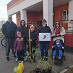 1. Каждый может внести свой вклад в озеленение родного двора!