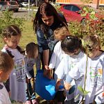  Cостоялась экологическая акция «Наш лес. Посади свое дерево»