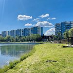 Вы тоже заметили, что лежаков у озера в этом году нет? ;))