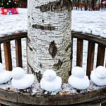 Компания снежных уточек посетила Беличий парк)