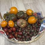 Продам помидоры с дачи — Краснознаменск