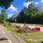 Затронет ли новая остановка велодорожку?