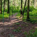 По слухам, в лесу, как идти от "Звёздного" к КПП, появится Лазертаг 