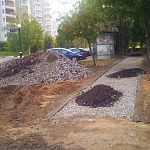 Нужно ли краснознаменцам продолжение развития сети велодорожек?