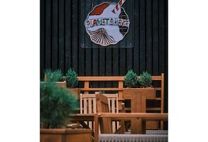 Планета тряскиДень | осень 25Парк Беличий